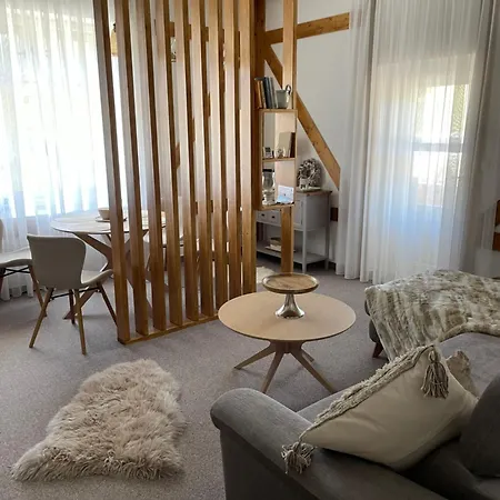 Kollar - Vevericka Vysoke Tatry